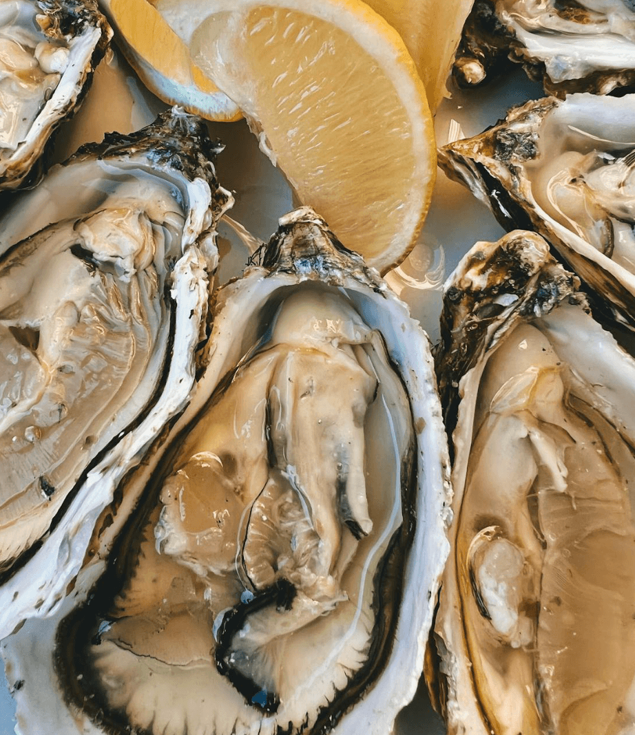Les huîtres du Bassin d’Arcachon