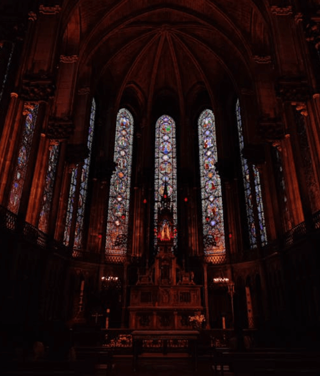 La Cathédrale Notre-Dame-de-la-Treille