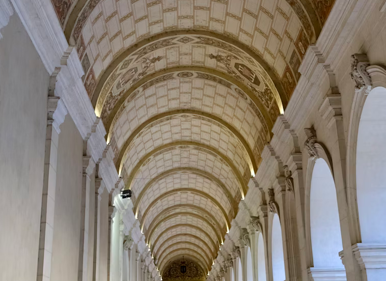 Musée des Beaux-Arts de Lyon