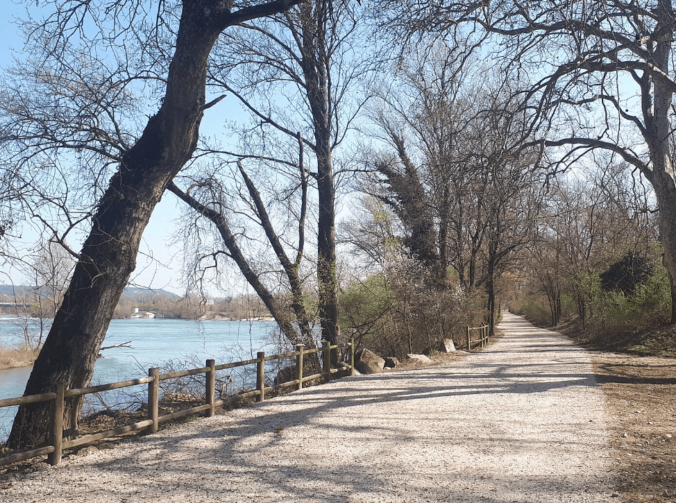 Parc de la Feyssine