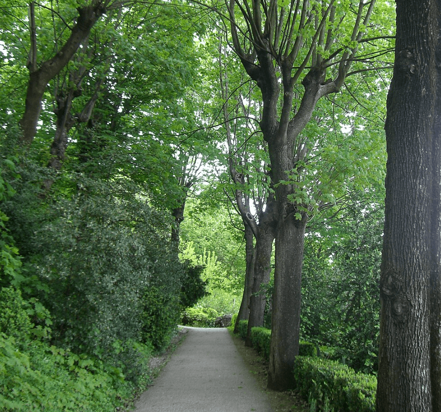 Parc des Hauteurs